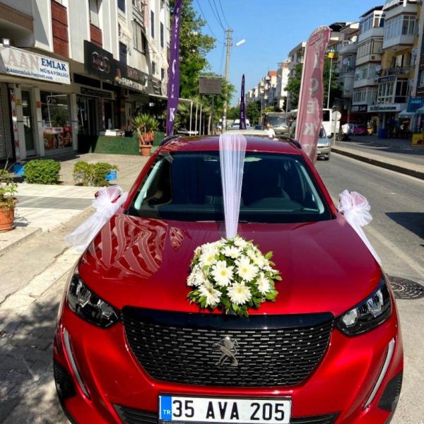 #ÇA 0001 Gelin Arabası Süsleme
